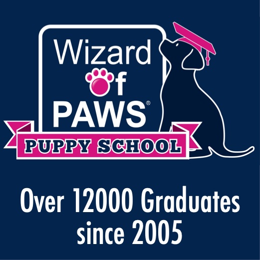 wizard of paws puppy school
