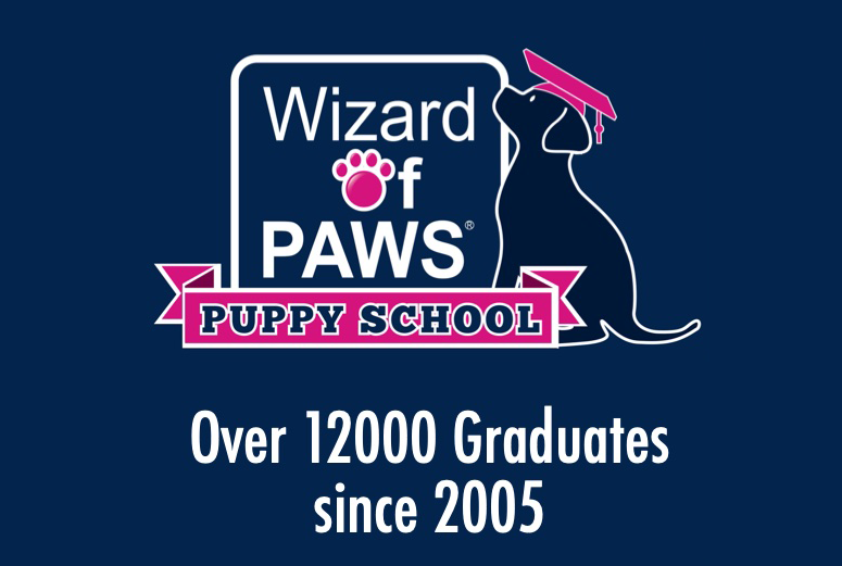 Wizard of Paws puppy school