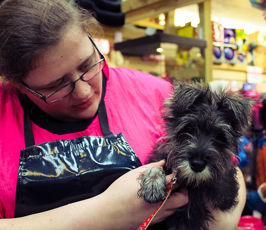 puppy training